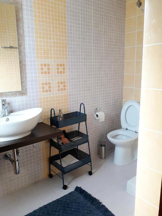 Galini Estate Apartment คาร์ดิทซา ภายนอก รูปภาพ