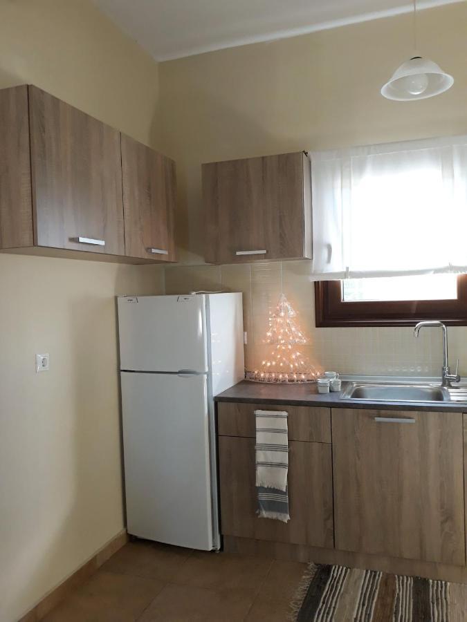 Galini Estate Apartment คาร์ดิทซา ภายนอก รูปภาพ