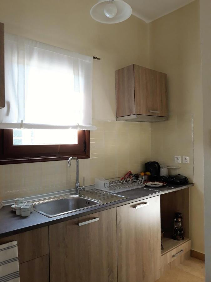 Galini Estate Apartment คาร์ดิทซา ภายนอก รูปภาพ