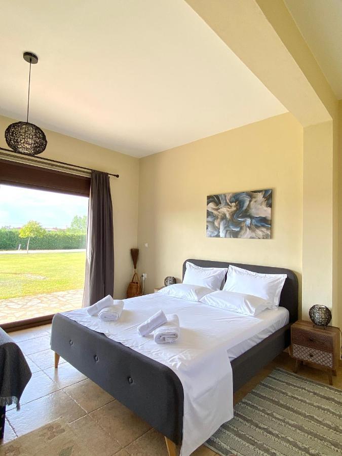Galini Estate Apartment คาร์ดิทซา ภายนอก รูปภาพ