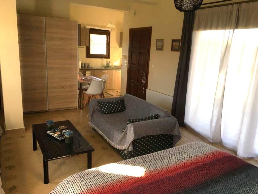 Galini Estate Apartment คาร์ดิทซา ภายนอก รูปภาพ